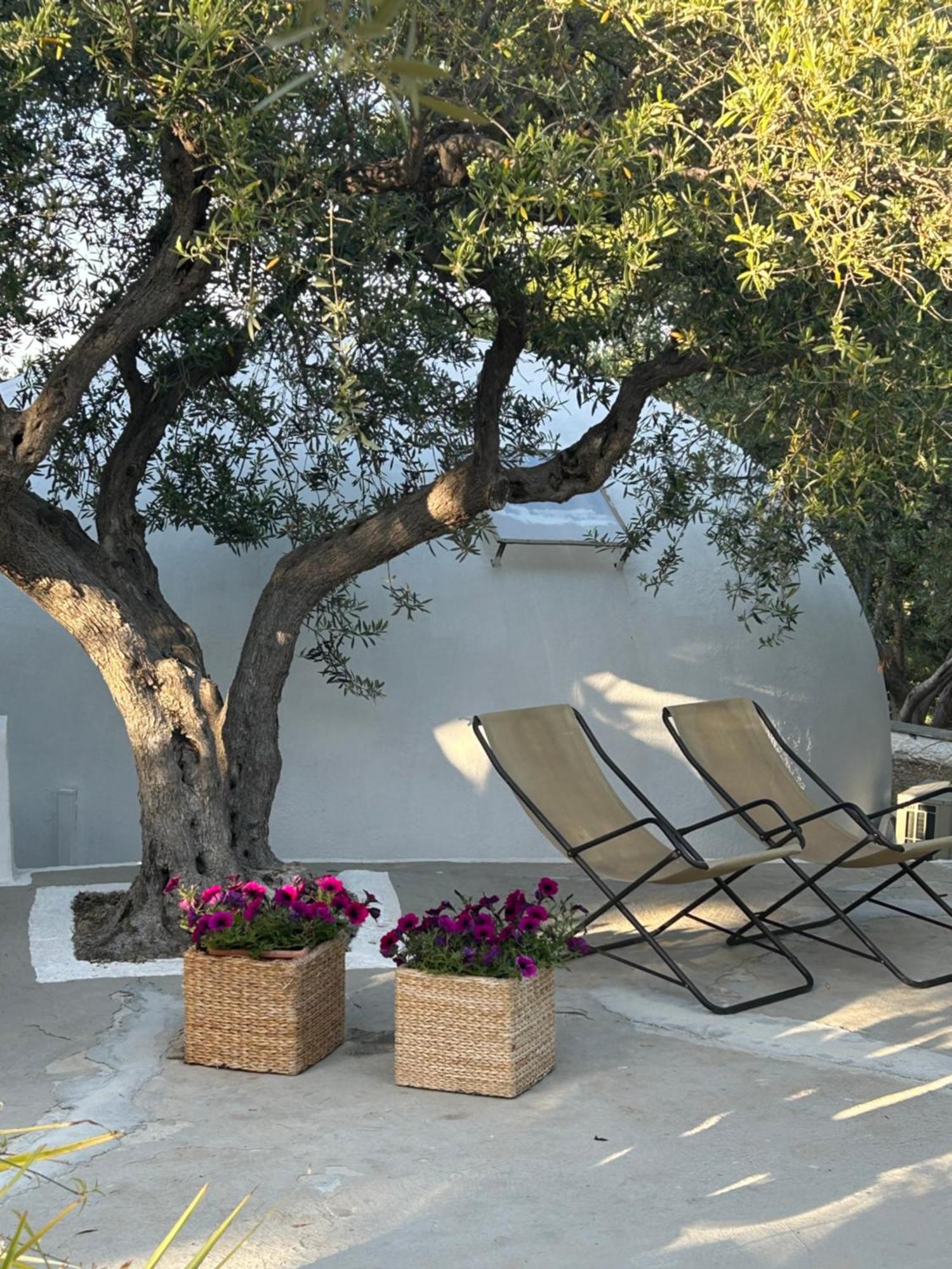 Residence Guidaloca Scopello  Buitenkant foto